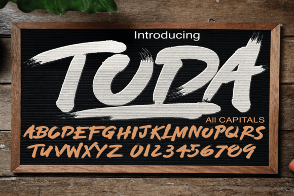 Font Choice That Speaks Volumes: How Toda Elevates Campaign Design