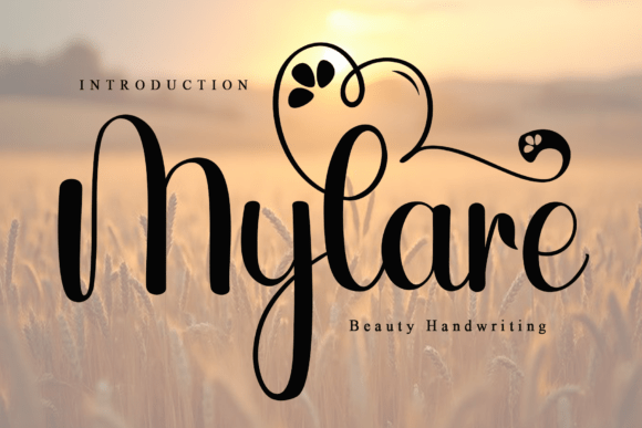 Testing Mylare: A Font That Breathes Life Into Branding
